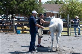 LR-WRF 08022025-Retreat-3161